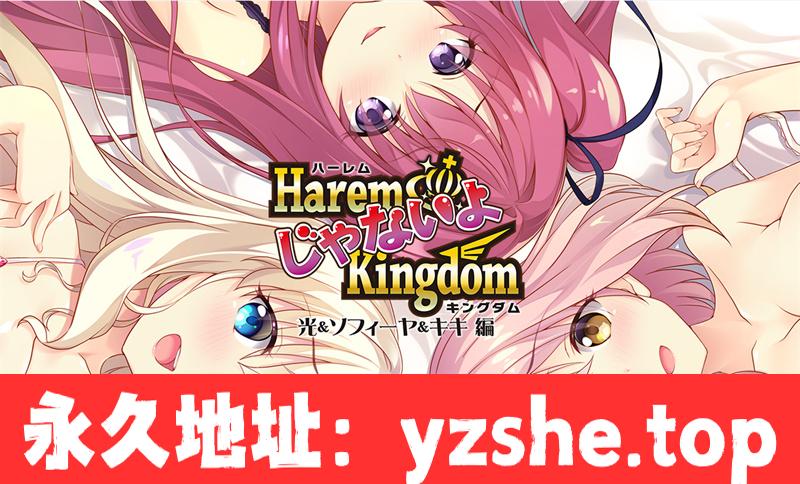 【ADV/AI汉化】 HaremじゃないよKingdom 光&ソフィーヤ&キキ編 汉化版【PC电脑/2.2G】