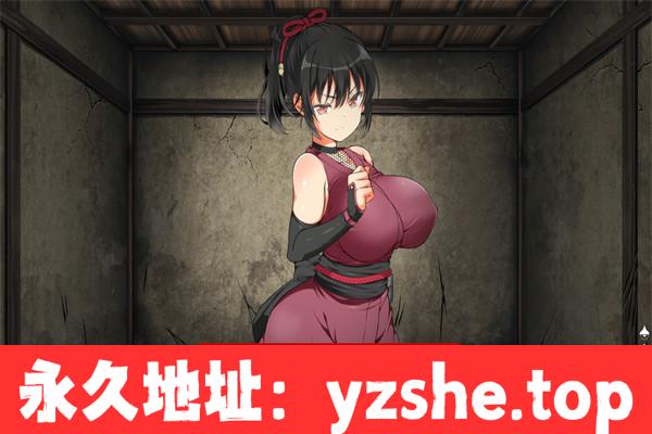 【爆款SLG/中文/极品全动态】忍堕－女忍调教V20231227 STEAM官方中文步兵版+全CG存档【PC电脑/11.3G】